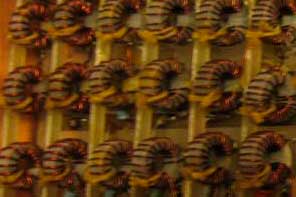 rf toroid00